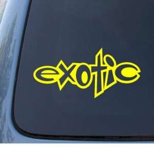 EXOTIC   Car, Truck, Notebook, Vinyl Decal Sticker #1259  Vinyl Color 