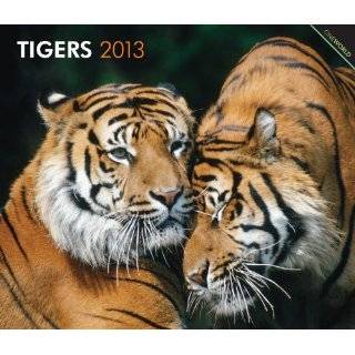 Tigers 2013 Deluxe Wall by BrownTrout Publishers ( Calendar   July 