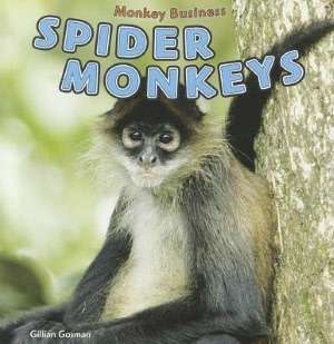   Spider Monkeys by Gillian Gosman, Rosen Publishing 