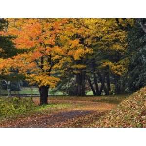 Walking Trail around Bass Lake in the Autumn, Blowing Rock, North 