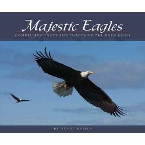  New Adventure Publications Inc Majestic Eagles Award Winning 