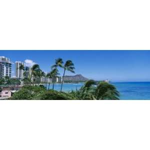 Palm Trees on the Beach, Waikiki Beach, Honolulu, Oahu, Hawaii, USA by 