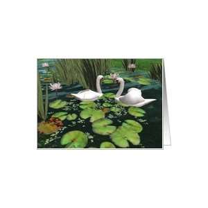 Swan water pond calla lilies swans couple pair love friendship blank 