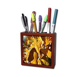   Transition Gold   Tile Pen Holders 5 inch tile pen holder Office