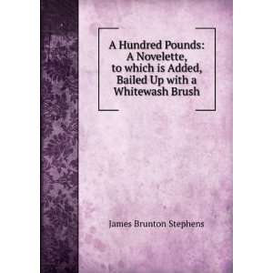   Added, Bailed Up with a Whitewash Brush James Brunton Stephens Books