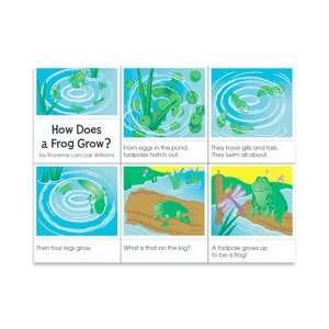    How Does A Frog Grow? Sequencing Story Arts, Crafts & Sewing