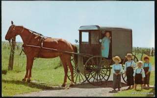 PA Amish Children Horse & Buggy Waiting For Parents Vtg  