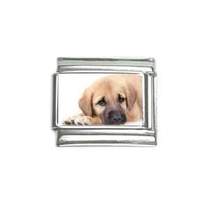  Anatolian Shepherd Puppych Charm 