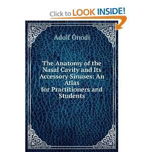  The Anatomy of the Nasal Cavity and Its Accessory Sinuses 