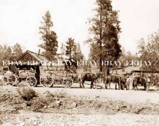 1880s Photo Haulin Hay & Grain by Wagon in the Old West  