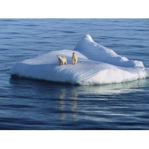  A polar bear and her cub rest on an iceberg in the Arctic Ocean 