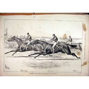  1878 Newmarket Spring Meeting Horses Finish Post Print 
