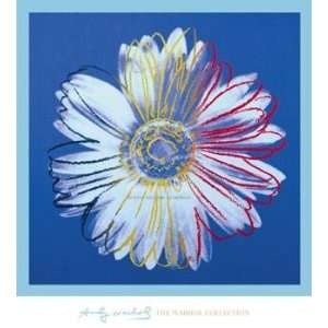 Daisy C 1982 (Blue On Blue) by Andy Warhol. size 36 inches width by 