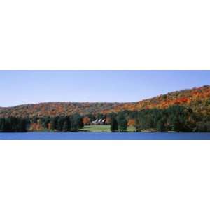  Trees along the Red House Lake, Alleghany State Park, New 