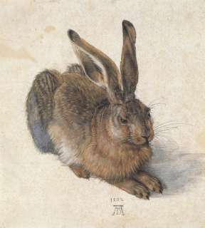 ALBRECHT DURER   HARE   CANVAS REPRODUCTION   CANVAS REPRODUCTION