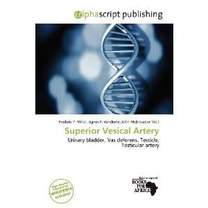  Superior Vesical Artery (9786200519528) Frederic P 