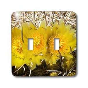  State Park, California   Light Switch Covers   double toggle switch