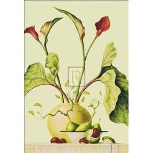 Verkerk   Red Lilies and Conkers Size 28 x 40   Poster by R. Verkerk 