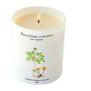  Carriere Freres Industrie ~ TUBEROSE Candle