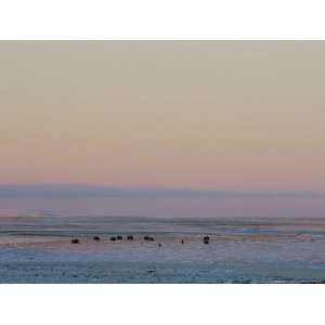  Autumn Twilight Stretches Across Cambridge Bay Photographers 