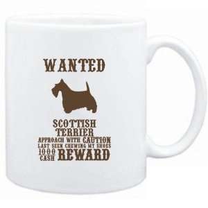   Wanted Scottish Terrier   $1000 Cash Reward  Dogs