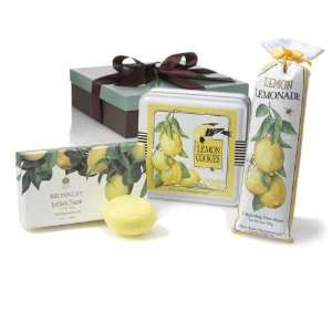  Lemons to Lemonade   Arrange a smile Health & Personal 