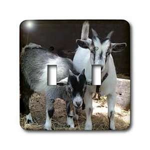  Farm Animals   Pygmy Goat   Light Switch Covers   double 