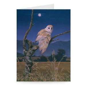 Barn Owl (oil on canvas) by Simon Cook   Greeting Card (Pack of 2 