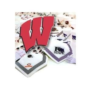  University of Wisconsin NCAA Party Pack