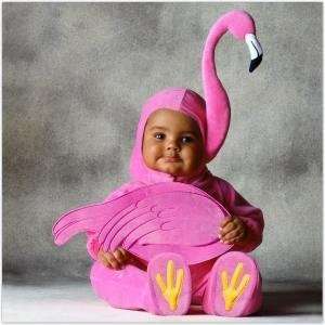  Tom Arma signature collection costume   flamingo toddler 