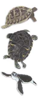 Jolees By You Sea Turtles Ocean Animals 3D Stickers  