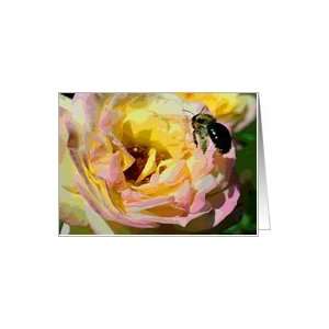  Bee And Rose Digital Art Flower Photo Blank Note Card Card 
