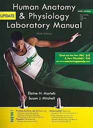 NEW Human Anatomy & Physiology   Marieb, Elaine N., R.N  
