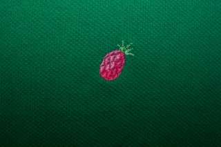 QUACKER FACTORY Green Pink Polo SHIRT Pineapples Short Sleeve Cotton 