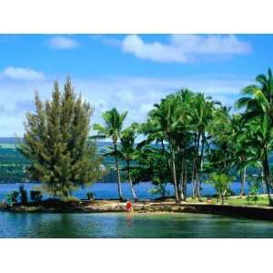  Coconut Island, a Small Island in Hilo Bay, Hawaii, USA 