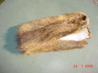 Nutrea skin Dressed/Tanned pelt fur hide Water Animal  