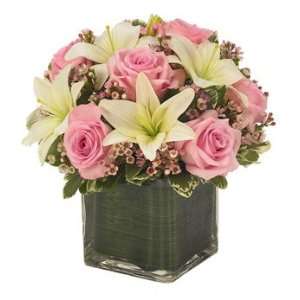 Pink Rose & Lily Cube Bouquet Grocery & Gourmet Food