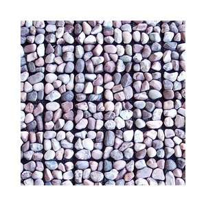    Toemi Chess Canyon Rose 2 x 2 Mosaic Tile