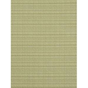  Robert Allen RA Undulation   Oatmeal Fabric Arts, Crafts 