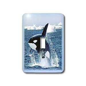 Florene Underwater Animals   Baby Jumping Whale   Light Switch Covers 