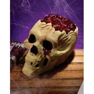  Skull With Bloody Brain Prop