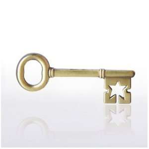  Lapel Pin   Key To Success