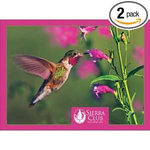  Pomegranate Sierra Club Hummingbirds Standard Boxed Note 