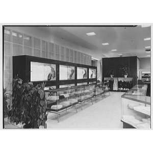  Photo Fields department store, business at 37th Ave. and 