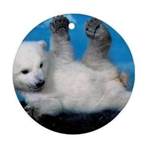  Baby Polar Bear Ornament round porcelain Christmas Great 