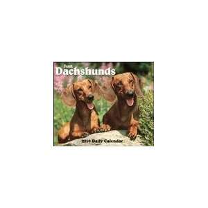  Just Dachshunds 2010 Desk Calendar