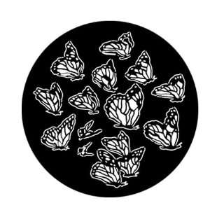  Butterfly Group