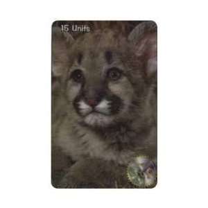  Collectible Phone Card 15u Baby Cougar Cub Close up 