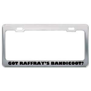 Got RaffrayS Bandicoot? Animals Pets Metal License Plate Frame Holder 