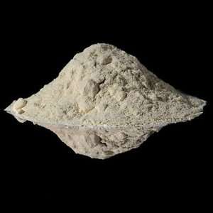 Blue Cheese Powder 10 Pounds Bulk Grocery & Gourmet Food